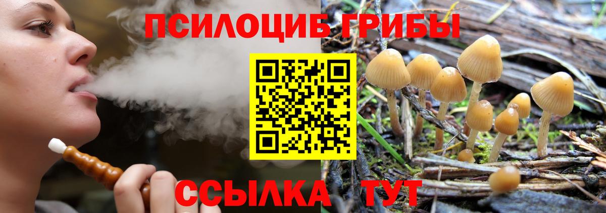 Псилоцибиновые грибы прущие грибы  Вход с VPN  Кудымкар 